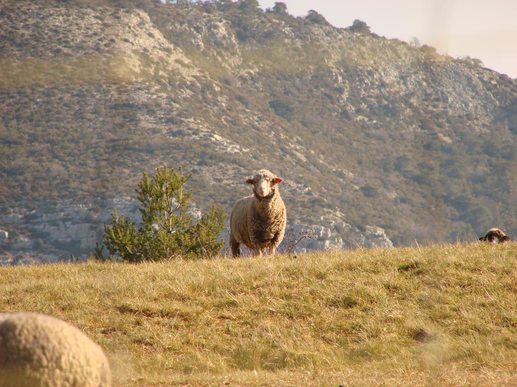 Le Coq En Pâte Hotel La Roque-Esclapon
